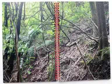 Sample page 5 for book "Shelton, Ann – Ann Shelton - A Spoonful of Sugar" Sample page 5 for book "Shelton, Ann – Ann Shelton - A Spoonful of Sugar"