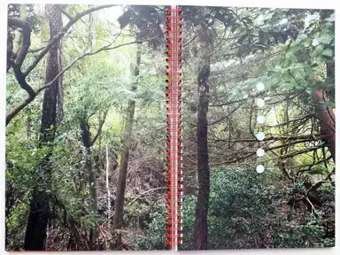 Sample page 4 for book "Shelton, Ann – Ann Shelton - A Spoonful of Sugar" Sample page 4 for book "Shelton, Ann – Ann Shelton - A Spoonful of Sugar"