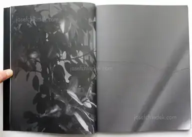 Sample page 17 for book "Mazzoni, Michel – Michel Mazzoni - Collisions" Sample page 17 for book "Mazzoni, Michel – Michel Mazzoni - Collisions"