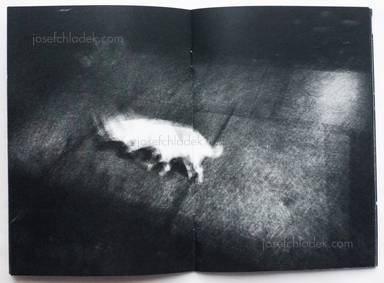 Sample page 7 for book "Reister, Christian – Christian Reister - Driftwood No.1" Sample page 7 for book "Reister, Christian – Christian Reister - Driftwood No.1"