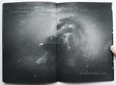 Sample page 3 for book "Reister, Christian – Christian Reister - Driftwood No.1" Sample page 3 for book "Reister, Christian – Christian Reister - Driftwood No.1"