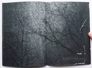 Sample page 2 for book "Reister, Christian – Christian Reister - Driftwood No.1" Sample page 2 for book "Reister, Christian – Christian Reister - Driftwood No.1"