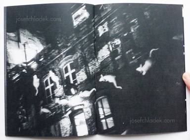 Sample page 1 for book "Reister, Christian – Christian Reister - Driftwood No.1" Sample page 1 for book "Reister, Christian – Christian Reister - Driftwood No.1"