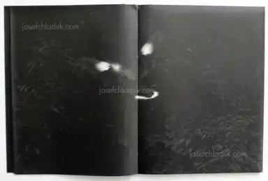 Sample page 17 for book "Renhui, Robert Zhao – Robert Zhao Renhui - Mynas" Sample page 17 for book "Renhui, Robert Zhao – Robert Zhao Renhui - Mynas"