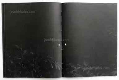 Sample page 7 for book "Renhui, Robert Zhao – Robert Zhao Renhui - Mynas" Sample page 7 for book "Renhui, Robert Zhao – Robert Zhao Renhui - Mynas"