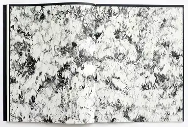 Sample page 4 for book "Renhui, Robert Zhao – Robert Zhao Renhui - Mynas" Sample page 4 for book "Renhui, Robert Zhao – Robert Zhao Renhui - Mynas"