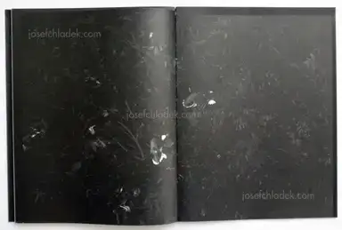 Sample page 3 for book "Renhui, Robert Zhao – Robert Zhao Renhui - Mynas" Sample page 3 for book "Renhui, Robert Zhao – Robert Zhao Renhui - Mynas"