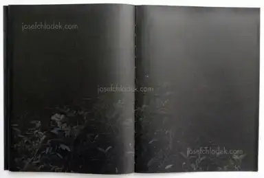 Sample page 1 for book "Renhui, Robert Zhao – Robert Zhao Renhui - Mynas" Sample page 1 for book "Renhui, Robert Zhao – Robert Zhao Renhui - Mynas"