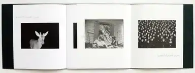 Sample page 6 for book "Balode, Ieva – Ieva Balode - Invisible Images" Sample page 6 for book "Balode, Ieva – Ieva Balode - Invisible Images"