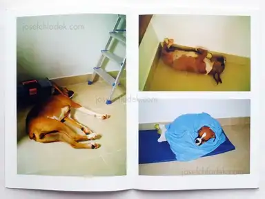 Sample page 9 for book "Van Der Weijde, Erik – Erik van der Weijde - Nina" Sample page 9 for book "Van Der Weijde, Erik – Erik van der Weijde - Nina"