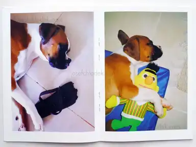 Sample page 7 for book "Van Der Weijde, Erik – Erik van der Weijde - Nina" Sample page 7 for book "Van Der Weijde, Erik – Erik van der Weijde - Nina"