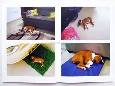 Sample page 6 for book "Van Der Weijde, Erik – Erik van der Weijde - Nina" Sample page 6 for book "Van Der Weijde, Erik – Erik van der Weijde - Nina"