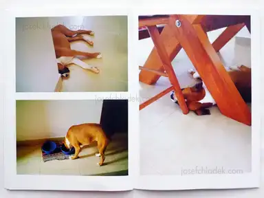 Sample page 2 for book "Van Der Weijde, Erik – Erik van der Weijde - Nina" Sample page 2 for book "Van Der Weijde, Erik – Erik van der Weijde - Nina"