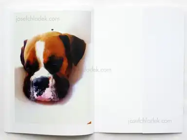 Sample page 1 for book "Van Der Weijde, Erik – Erik van der Weijde - Nina" Sample page 1 for book "Van Der Weijde, Erik – Erik van der Weijde - Nina"