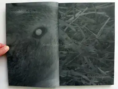 Sample page 18 for book "Kitagawa, Koji – Koji Kitagawa - Daughter" Sample page 18 for book "Kitagawa, Koji – Koji Kitagawa - Daughter"