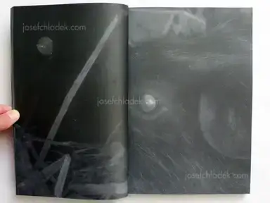 Sample page 16 for book "Kitagawa, Koji – Koji Kitagawa - Daughter" Sample page 16 for book "Kitagawa, Koji – Koji Kitagawa - Daughter"