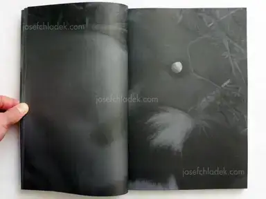 Sample page 15 for book "Kitagawa, Koji – Koji Kitagawa - Daughter" Sample page 15 for book "Kitagawa, Koji – Koji Kitagawa - Daughter"