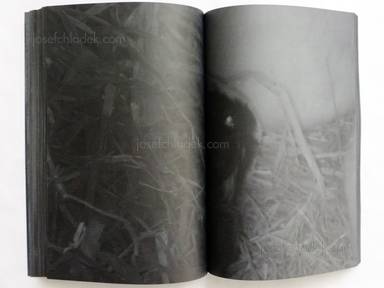 Sample page 9 for book "Kitagawa, Koji – Koji Kitagawa - Daughter" Sample page 9 for book "Kitagawa, Koji – Koji Kitagawa - Daughter"