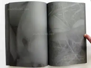 Sample page 6 for book "Kitagawa, Koji – Koji Kitagawa - Daughter" Sample page 6 for book "Kitagawa, Koji – Koji Kitagawa - Daughter"