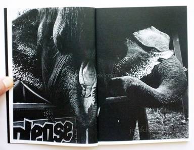 Sample page 2 for book  Kurama – Elephant ゾウサン