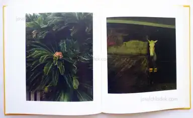 Sample page 1 for book "Suzuki, Ikuko – Ikuko Suzuki - Tsu Tsu Ura Ura" Sample page 1 for book "Suzuki, Ikuko – Ikuko Suzuki - Tsu Tsu Ura Ura"