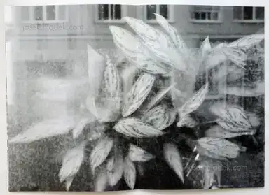 Sample page 21 for book "Kreta 2 Kollektiv – Kreta 2 Kollektiv - Kreta 2" Sample page 21 for book "Kreta 2 Kollektiv – Kreta 2 Kollektiv - Kreta 2"