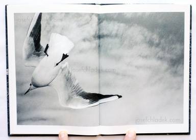 Sample page 7 for book  Susumu Fujita – Silver Eye 銀の眼