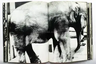 Sample page 11 for book "Moriyama, Daido – Daido Moriyama - Light and Shadow (Hikari To Kage , 森山大道 光と影)" Sample page 11 for book "Moriyama, Daido – Daido Moriyama - Light and Shadow (Hikari To Kage , 森山大道 光と影)"