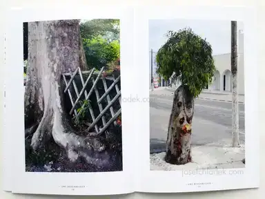 Sample page 5 for book "Bedenbecker, Uwe – Uwe Bedenbecker - Dialectics Of Nature" Sample page 5 for book "Bedenbecker, Uwe – Uwe Bedenbecker - Dialectics Of Nature"