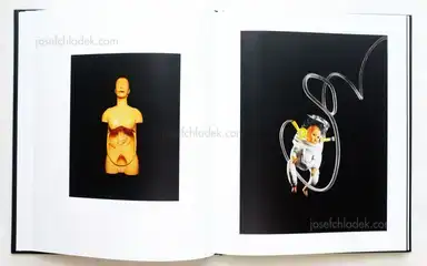 Sample page 11 for book "Riedler, Reiner – Reiner Riedler - Will" Sample page 11 for book "Riedler, Reiner – Reiner Riedler - Will"