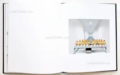 Sample page 2 for book "Riedler, Reiner – Reiner Riedler - Will" Sample page 2 for book "Riedler, Reiner – Reiner Riedler - Will"