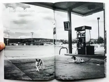 Sample page 12 for book "Reister, Christian – Christian Reister - Driftwood No.2" Sample page 12 for book "Reister, Christian – Christian Reister - Driftwood No.2"