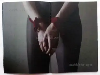 Sample page 11 for book "Block, Anna and Anastasia Lobanova – Anna Block and Anastasia Lobanova - Last Days of Snow" Sample page 11 for book "Block, Anna and Anastasia Lobanova – Anna Block and Anastasia Lobanova - Last Days of Snow"