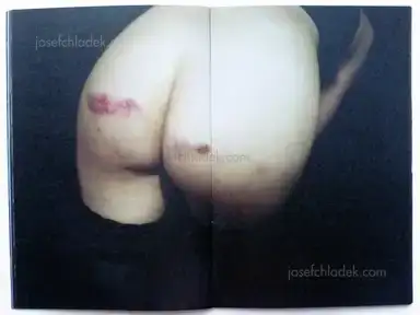 Sample page 6 for book "Block, Anna and Anastasia Lobanova – Anna Block and Anastasia Lobanova - Last Days of Snow" Sample page 6 for book "Block, Anna and Anastasia Lobanova – Anna Block and Anastasia Lobanova - Last Days of Snow"