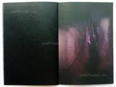 Sample page 3 for book "Block, Anna and Anastasia Lobanova – Anna Block and Anastasia Lobanova - Last Days of Snow" Sample page 3 for book "Block, Anna and Anastasia Lobanova – Anna Block and Anastasia Lobanova - Last Days of Snow"