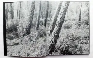 Sample page 18 for book "Mouraz, Tito – Tito Mouraz - Casa das Sete Senhoras" Sample page 18 for book "Mouraz, Tito – Tito Mouraz - Casa das Sete Senhoras"