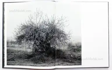 Sample page 17 for book "Mouraz, Tito – Tito Mouraz - Casa das Sete Senhoras" Sample page 17 for book "Mouraz, Tito – Tito Mouraz - Casa das Sete Senhoras"