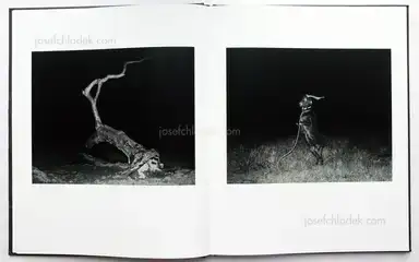 Sample page 13 for book "Mouraz, Tito – Tito Mouraz - Casa das Sete Senhoras" Sample page 13 for book "Mouraz, Tito – Tito Mouraz - Casa das Sete Senhoras"