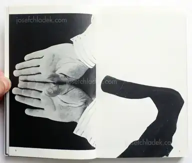 Sample page 15 for book "Neubacher, Karl – Karl Neubacher - Öffentliche Kunstfigur (Public Fictional Character)" Sample page 15 for book "Neubacher, Karl – Karl Neubacher - Öffentliche Kunstfigur (Public Fictional Character)"