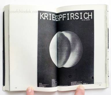 Sample page 10 for book  Karl Neubacher – Öffentliche Kunstfigur