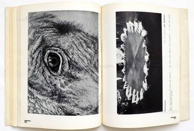 Sample page 12 for book  Laszlo Moholy-Nagy – Malerei, Fotografie, Film