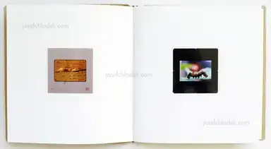 Sample page 10 for book "Maknyte, Aurelija – Aurelija Maknytė - Burning Slides" Sample page 10 for book "Maknyte, Aurelija – Aurelija Maknytė - Burning Slides"