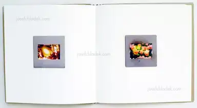 Sample page 9 for book "Maknyte, Aurelija – Aurelija Maknytė - Burning Slides" Sample page 9 for book "Maknyte, Aurelija – Aurelija Maknytė - Burning Slides"