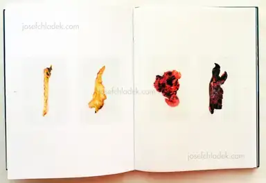 Sample page 9 for book "Thompson, Edward – Edward Thompson - The Unseen - An Atlas of Infrared Plates" Sample page 9 for book "Thompson, Edward – Edward Thompson - The Unseen - An Atlas of Infrared Plates"