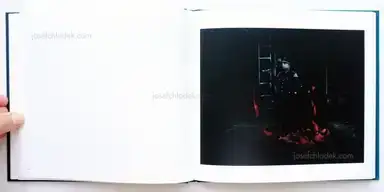 Sample page 10 for book "Teshaieva, Mila – Mila Teshaieva - InselWesen" Sample page 10 for book "Teshaieva, Mila – Mila Teshaieva - InselWesen"