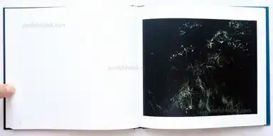 Sample page 9 for book "Teshaieva, Mila – Mila Teshaieva - InselWesen" Sample page 9 for book "Teshaieva, Mila – Mila Teshaieva - InselWesen"