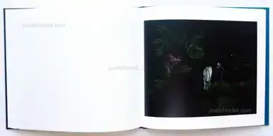 Sample page 5 for book "Teshaieva, Mila – Mila Teshaieva - InselWesen" Sample page 5 for book "Teshaieva, Mila – Mila Teshaieva - InselWesen"