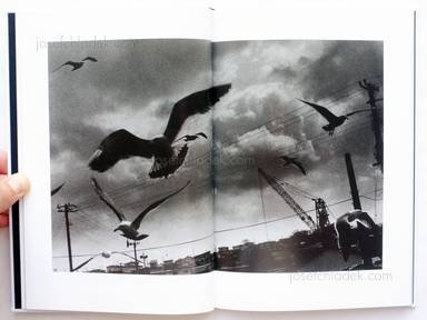 Sample page 5 for book  Hiroyasu Nakai – North Point (中居裕恭写真集 北点)