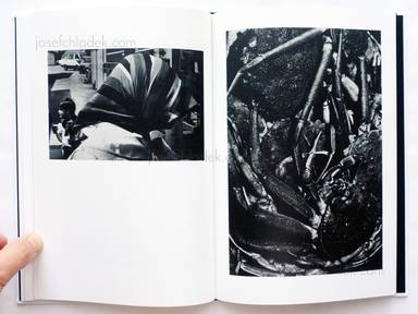 Sample page 11 for book  Hiroyasu Nakai – North Point (中居裕恭写真集 北点)