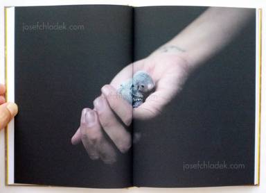 Sample page 10 for book "Serra Costa, Rita Puig – Rita Puig Serra Costa - Where Mimosa Bloom" Sample page 10 for book "Serra Costa, Rita Puig – Rita Puig Serra Costa - Where Mimosa Bloom"